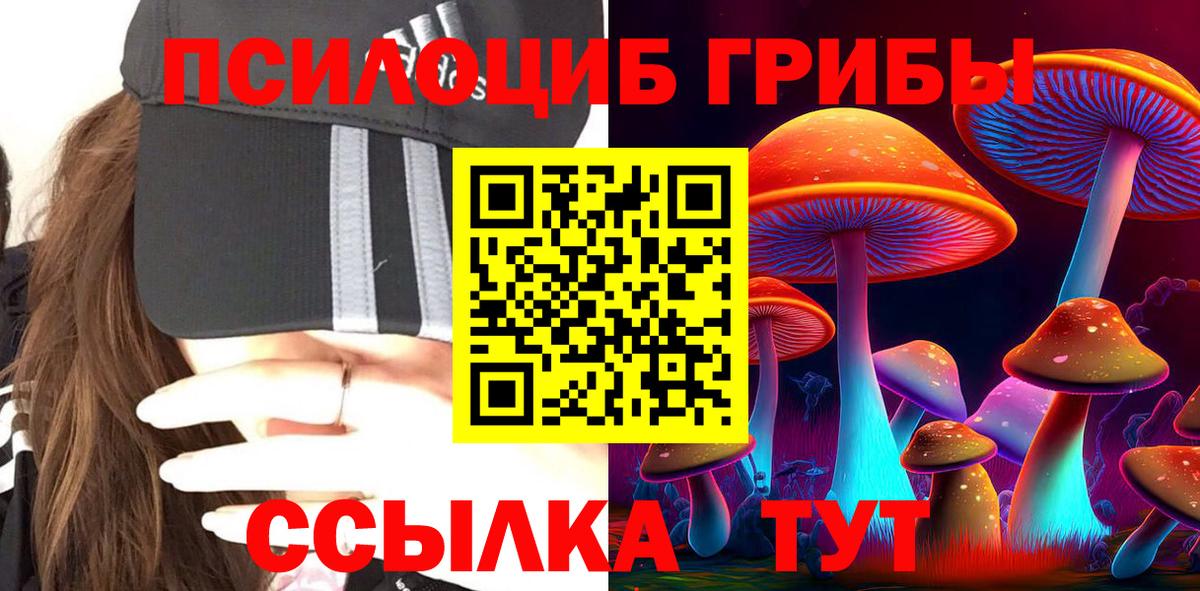Великие Луки  Галлюциногенные грибы ЛСД  Вход с VPN 