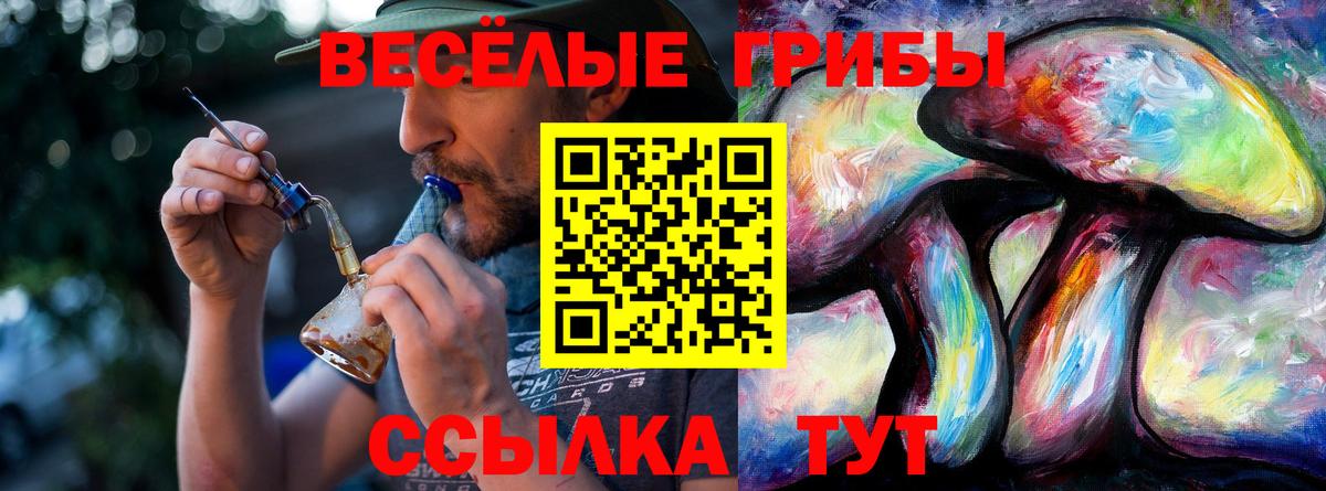 Галлюциногенные грибы прущие грибы Великие Луки